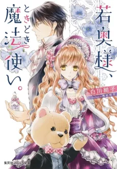 Waka Oku-sama, Tokidoki Mahoutsukai. cover