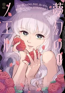 Mugen no Noël cover