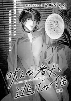 Hoenu Banken to Nigenu Neko cover