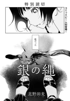Gin no Nawa cover
