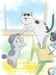 With a Dog AND a Cat, Every Day is Fun cover
