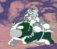 Makafushigi Land cover