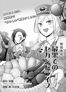 Saihate no Second Life cover
