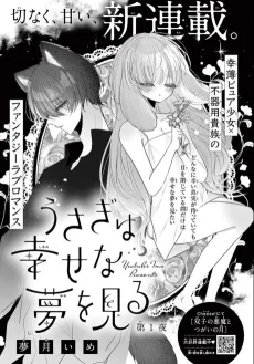 Usagi wa Shiawase na Yume wo Miru cover