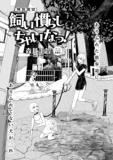 Kainarashi Chainatsu! cover