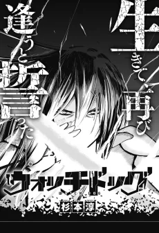 Watchdog cover