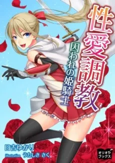 Seiai Choukyou: Toraware no Himekishi cover