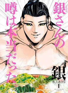 Gin Shirogane cover