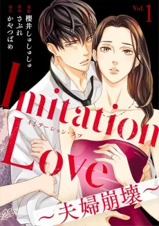 Imitation Love: A Couple's Tribulations cover