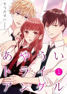 Our Precarious Triangle cover