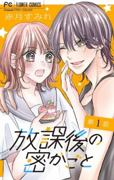Houkago no Hisokagoto cover