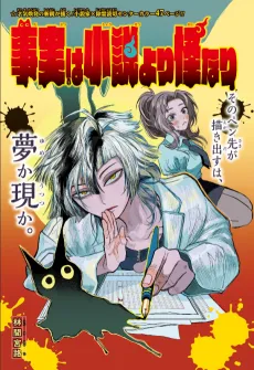 Jijitsu wa Shousetsu yori Kainari cover