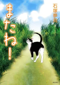 Mataneko! cover
