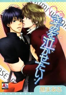 Kimi wo Nakasetai cover