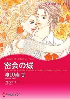 Himitsu no Shiro cover
