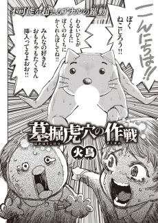 Hakahori Koketsu's Grand Plan cover