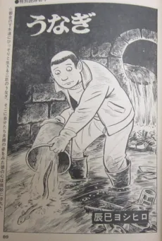 Eel cover