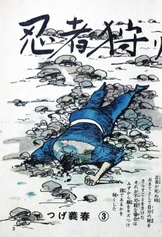 Ninjagari cover