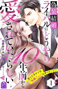 Gisou Kekkon Shita Rival ni Douyara 10-nen Mae kara Aisarete Itarashii cover