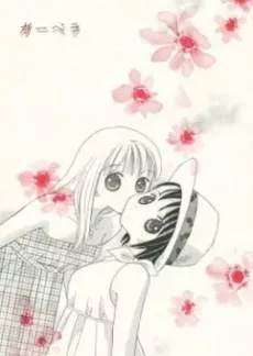 Gerbera cover