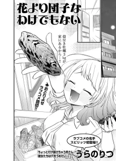 Hana yori Dango na wake demo nai cover