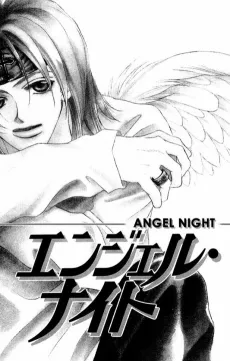 Angel Night cover