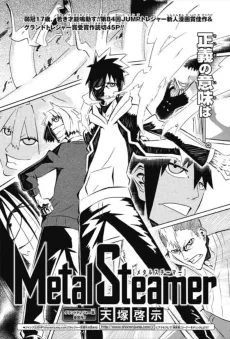 Metal Steamer cover