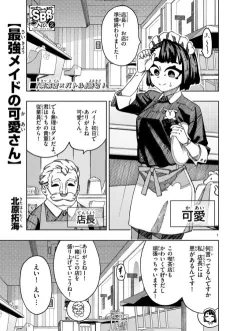 Saikyou Maid no Kaai-san cover