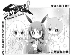 UsaUsa!: Rabbit To Bunny cover