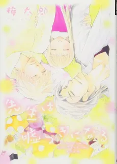 Sensei wa Usotsuki ni Naru cover