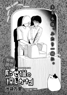 Nise Neko no Sagashi Kata cover