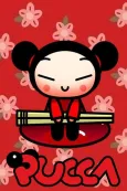 Pucca cover