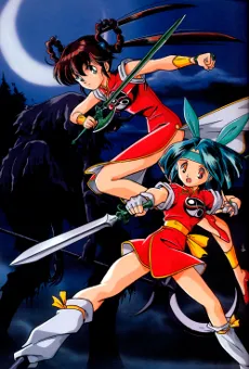 Devil Hunter Yohko cover