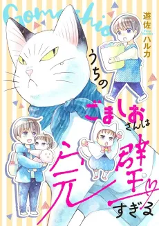 Uchi no Gomashio-san wa Kanpeki Sugiru cover