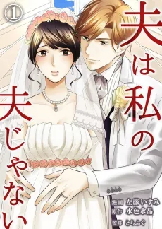 My Husband Is Not My Husband cover