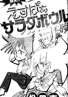 Esper Salad Bowl cover