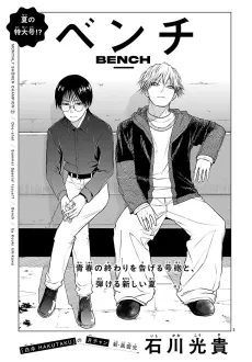 Bench cover
