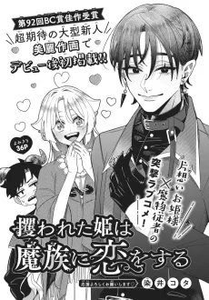 Sarawareta Hime wa Mazoku ni Koi wo suru cover
