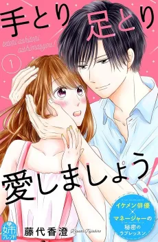 Tetori Ashitori Aishimashou! cover