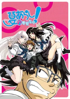 Natsu no Arashi! Season 2 cover
