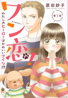 Wan Koi! Watashi no Hiirou wa Kawaii Aitsu!? cover