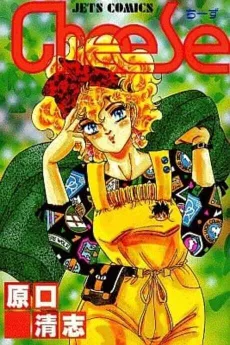 Cheese cover