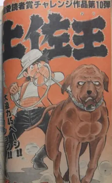 Tosaou cover