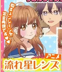 Nagareboshi Lens cover