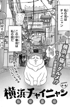 Yokohama Chai-nyan cover