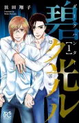 Dark Hunter: Aoku Hikaru cover