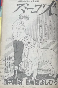 Amigo Inu cover