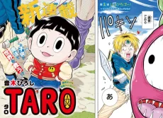 TARO cover