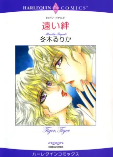 Tooi Kizuna cover
