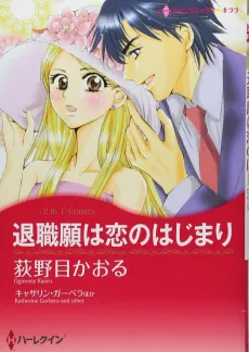 CEO's Summer Seduction cover